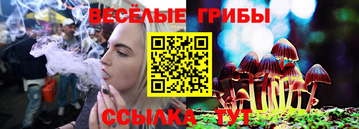 Псилоцибиновые грибы прущие грибы  Вход с VPN  Галлюциногенные грибы мухоморы  Артёмовский 